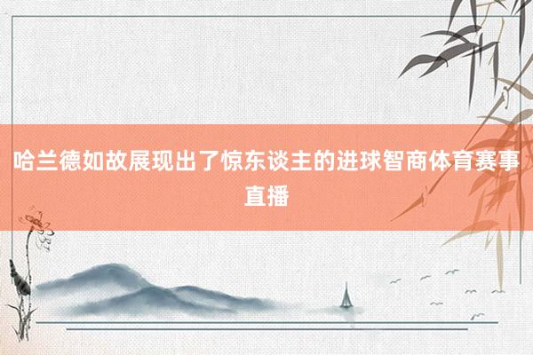 哈兰德如故展现出了惊东谈主的进球智商体育赛事直播