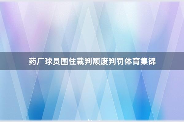 药厂球员围住裁判颓废判罚体育集锦