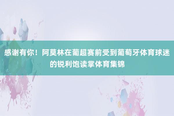 感谢有你！阿莫林在葡超赛前受到葡萄牙体育球迷的锐利饱读掌体育集锦