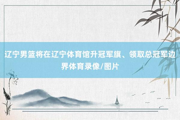 辽宁男篮将在辽宁体育馆升冠军旗、领取总冠军边界体育录像/图片