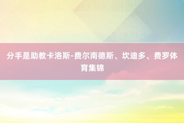 分手是助教卡洛斯-费尔南德斯、坎迪多、费罗体育集锦