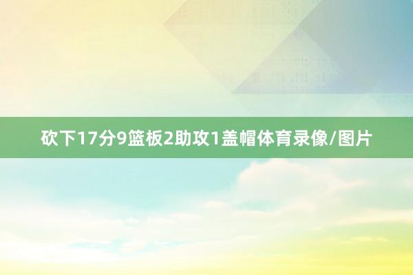 砍下17分9篮板2助攻1盖帽体育录像/图片